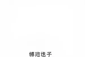 爆料现场精选卡片封面，展示直播间弹幕时间轴切片